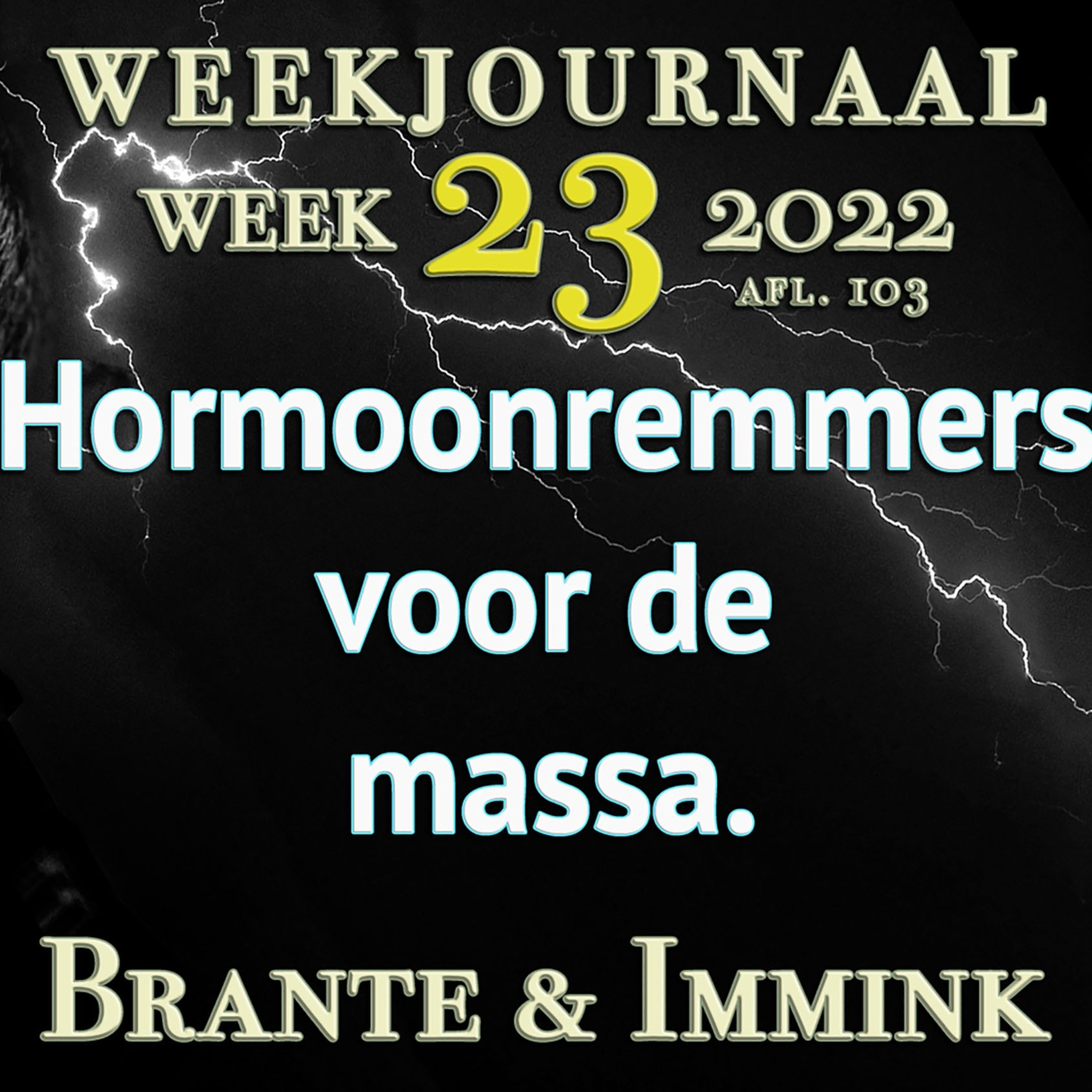 Afleveringplaatje van Hormoonremmers Voor De Massa.