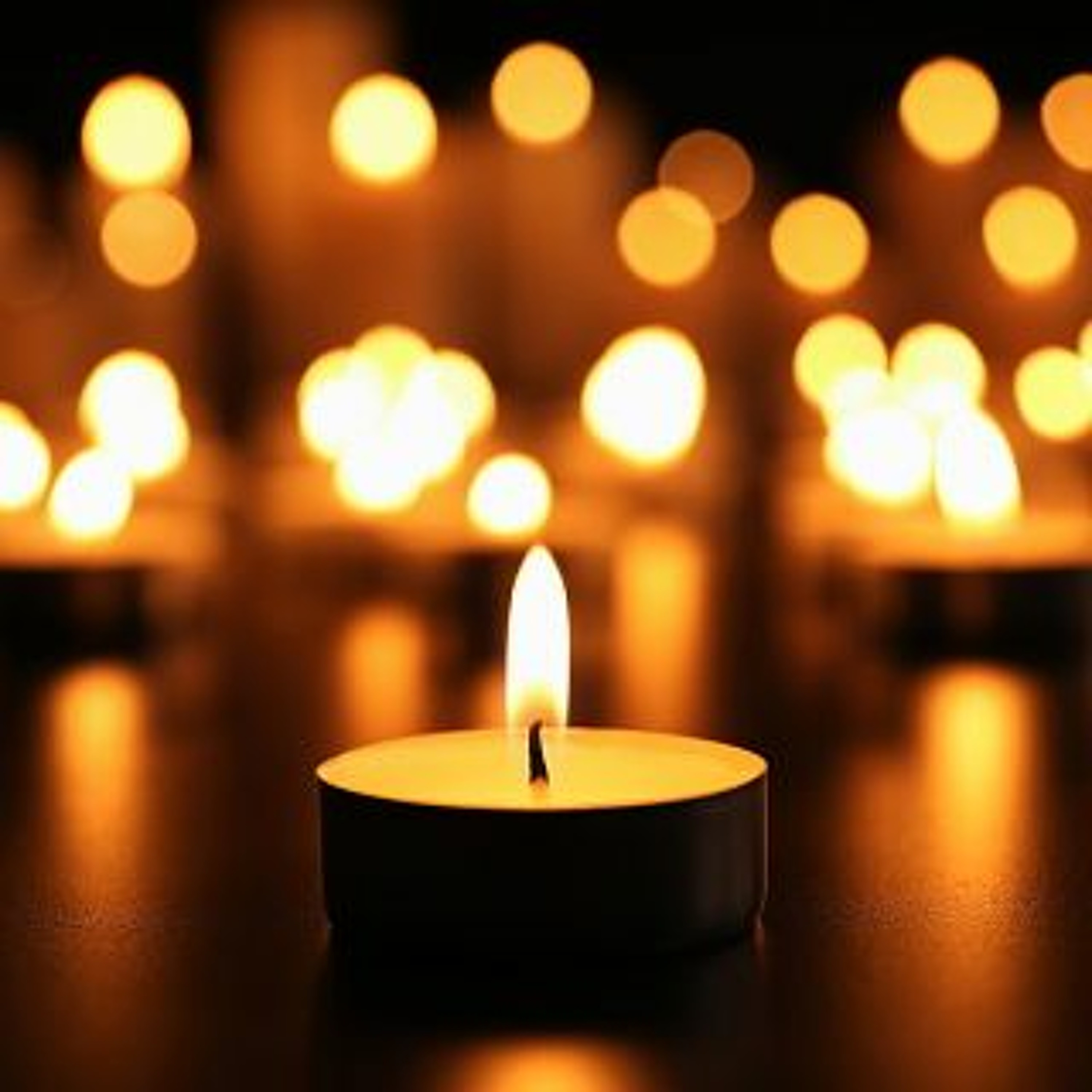 Afleveringplaatje van GeenStijl Daghap | 29-12-2022 - Er is altijd hoop