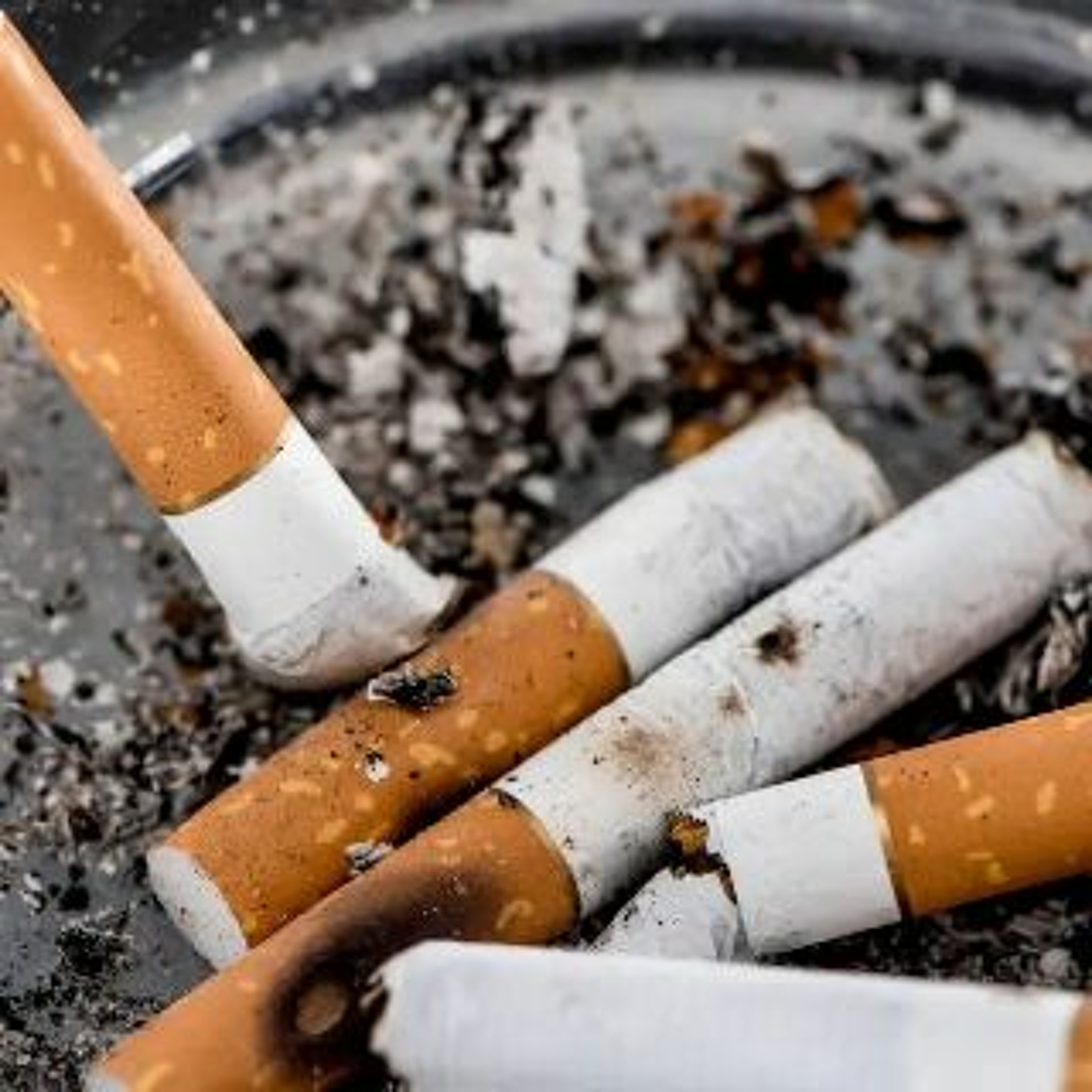 Afleveringplaatje van GeenStijl Daghap | 05-08-2022 - Op gesprek bij Remkes