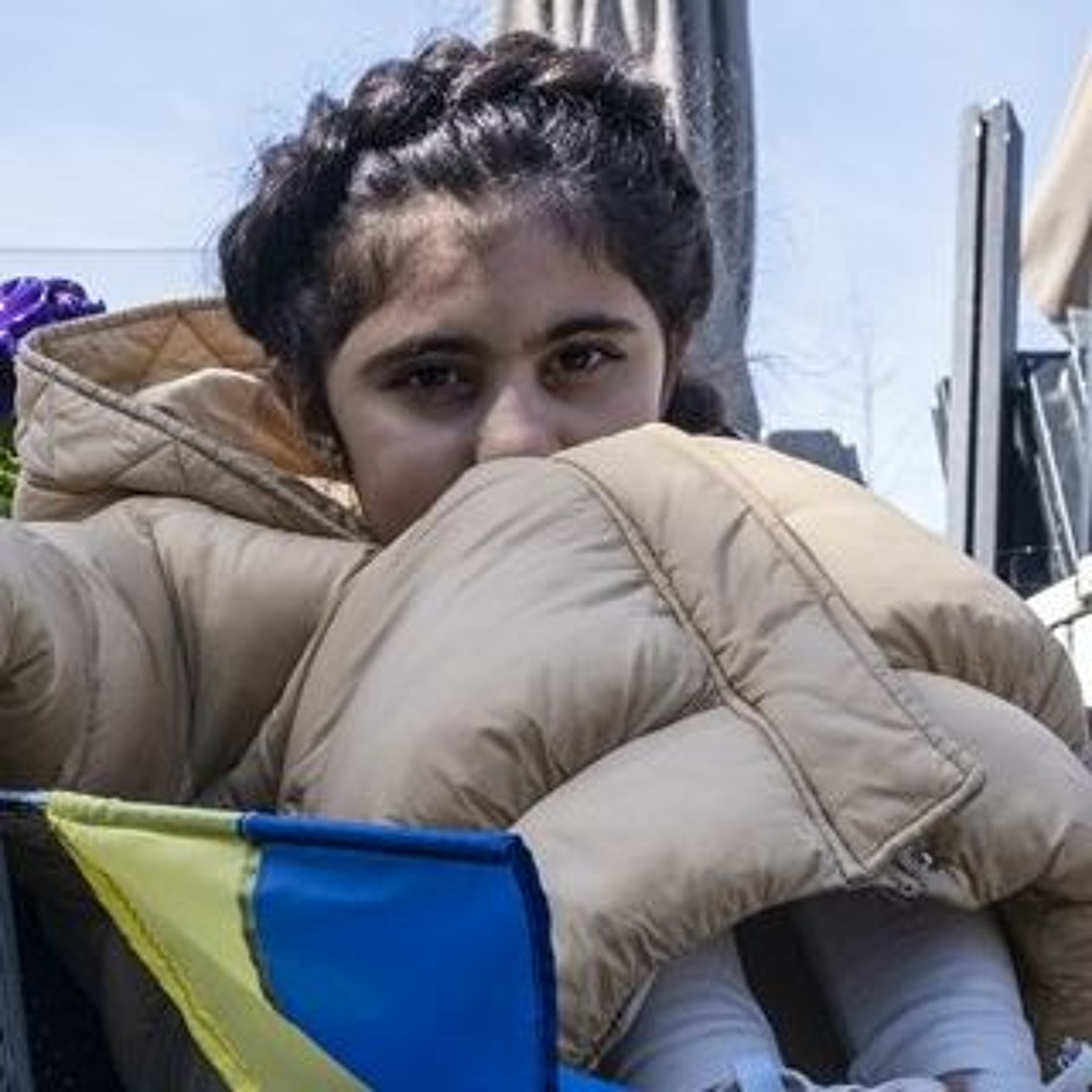 Afleveringplaatje van GeenStijl Daghap | 26-06-2022 - De kat gaat naar het pension en de Oekraïners gaan naar de opvang