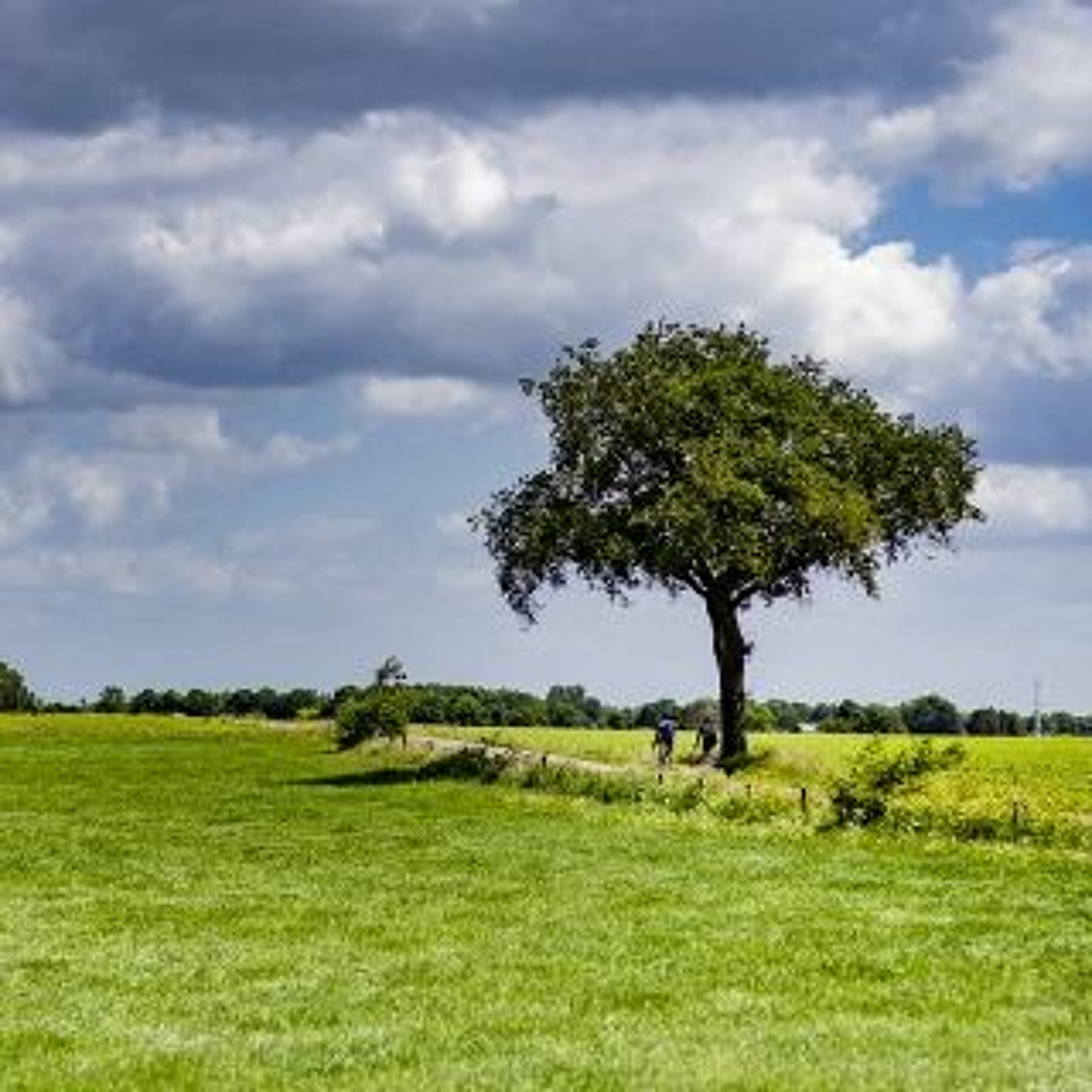 Afleveringplaatje van GeenStijl Daghap | 03-06-2022 - Herrie op de Veluwe!