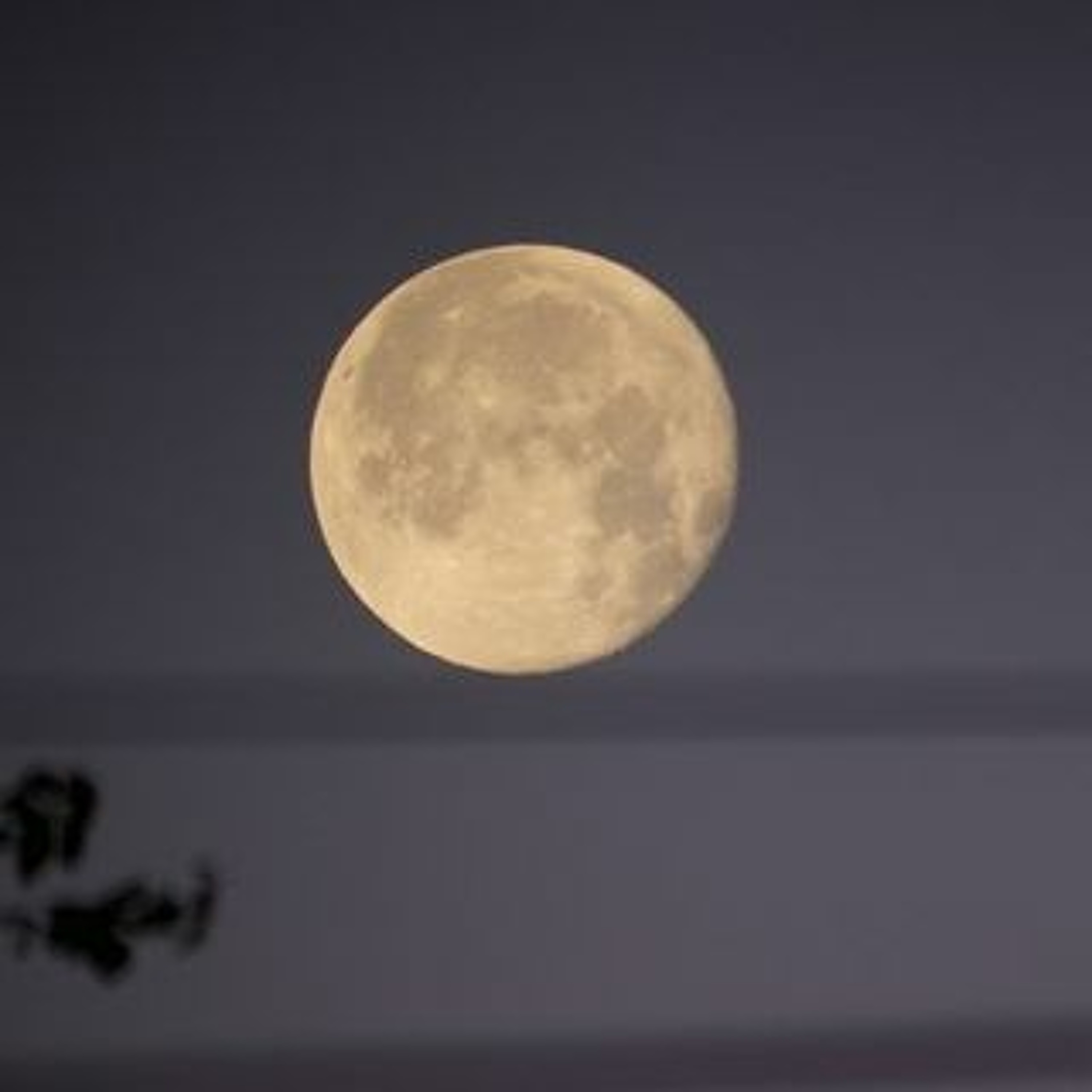 Afleveringplaatje van GeenStijl Daghap | 02-06-2022 - Hoeveel kan iemand man on the moonen?